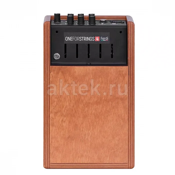 Acus One ForStrings 4Ferdi Wood акустический комбоусилитель, 40 Вт, USB-C 5