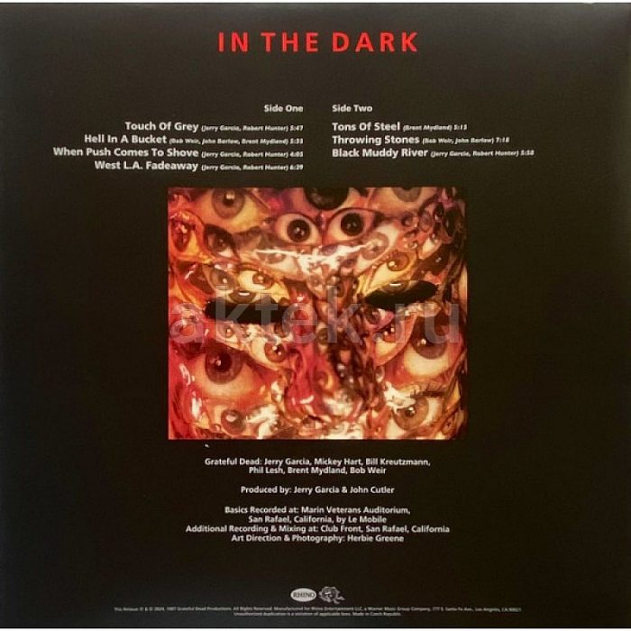 Виниловая пластинка GRATEFUL DEAD - IN THE DARK 180 GRAM BLACK VINYL 12" 2