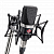 Студийный микрофон Neumann TLM 102 BK STUDIO SET Black