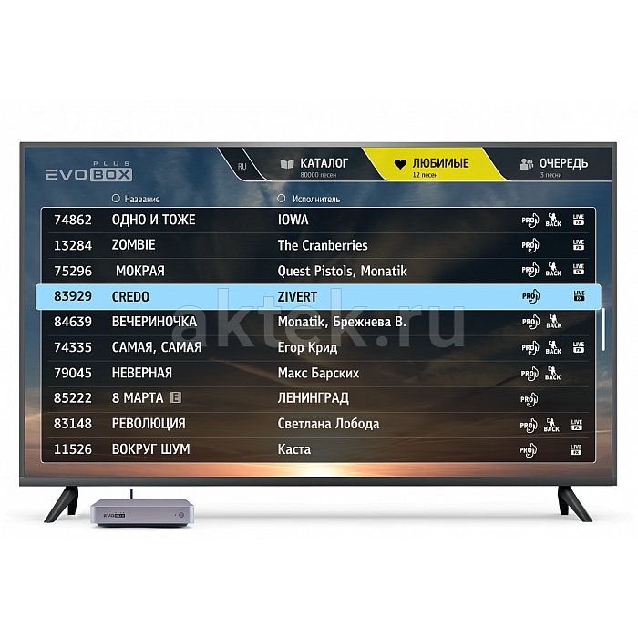 Домашнее профессиональное караоке EVOBOX PLUS Black + Sphere 2.1 Black 4
