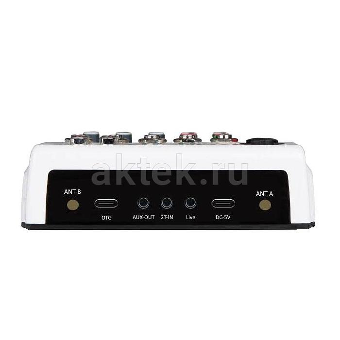 Онлайн караоке для дома с колонками SkyDisco UM-100 + SM-3BT 6