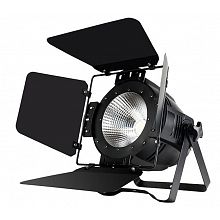 Светодиодный PAR прожектор SHOWLIGHT COB PAR 200W RGBW