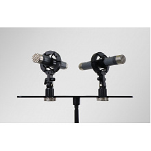 AuraSonics AP22-MP инструментальные студийные микрофоны, золотой 3
