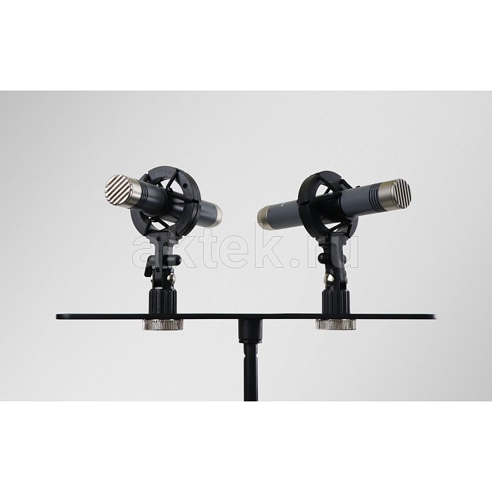 AuraSonics AP22-MP инструментальные студийные микрофоны, золотой 3