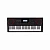 Casio CT-X3000 синтезатор, 61 клавиша, 64 голоса, 800 тембров