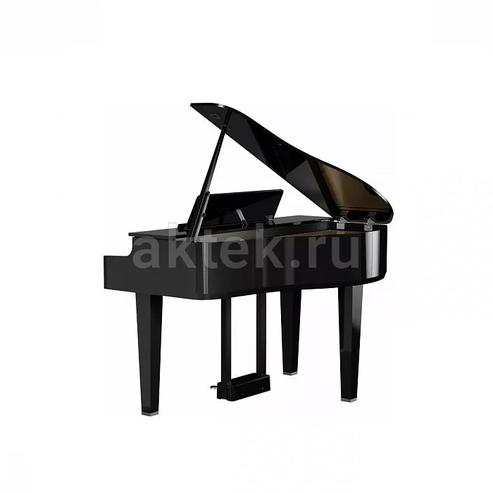 Roland GP 6 PE цифровой рояль, 88 клавиш, 256 голосов 6