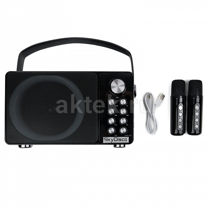 Портативная караоке колонка с микрофонами SkyDisco YS-314 5