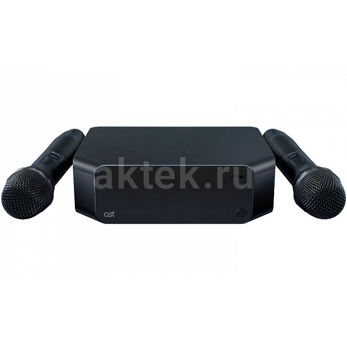 Профессиональная караоке система с микрофонами и акустикой AST Zoom+Audio Pro A38 6