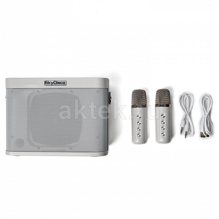 Портативная караоке колонка с микрофонами SkyDisco YS-219 white 14