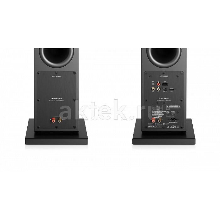 Караоке система с микрофонами и акустикой Studio Evolution EVOBOX Premium+SE 200D+Audio Pro A38 12