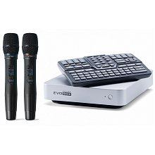 Комплект караоке EvoBase Silver (Evobox и микрофоны)