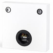 Настенная акустическая система Radiotehnika Vita 2.01 White Ash 3