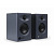 AuraSonics KN3.5 студийный монитор 3,5" 2x30 Вт