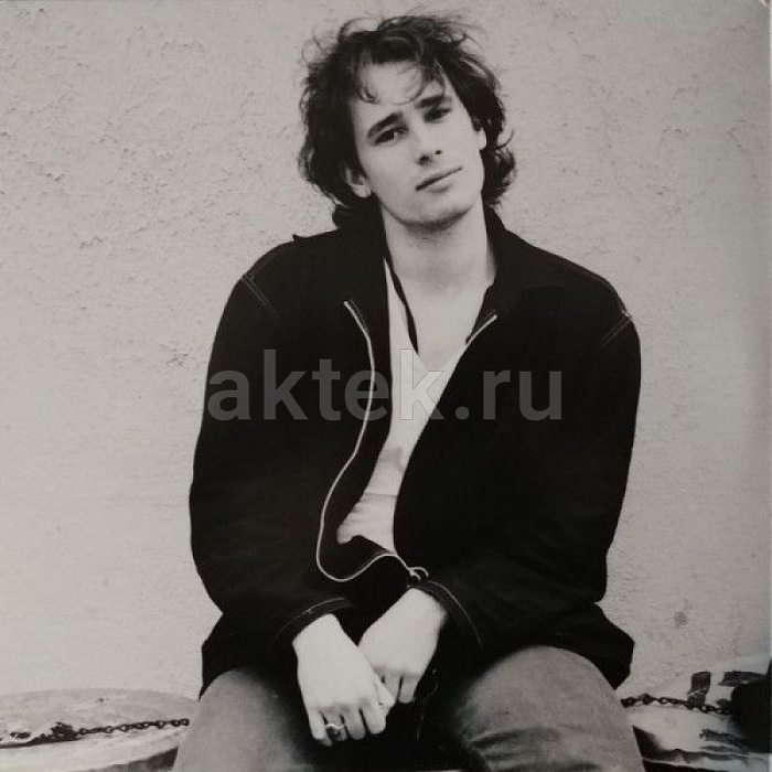 Виниловая пластинка JEFF BUCKLEY - YOU AND I 180 GRAM BLACK VINYL 12" 3