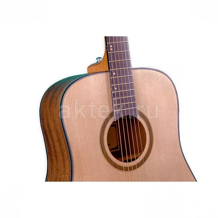 Omni D-120 NT акустическая гитара 2