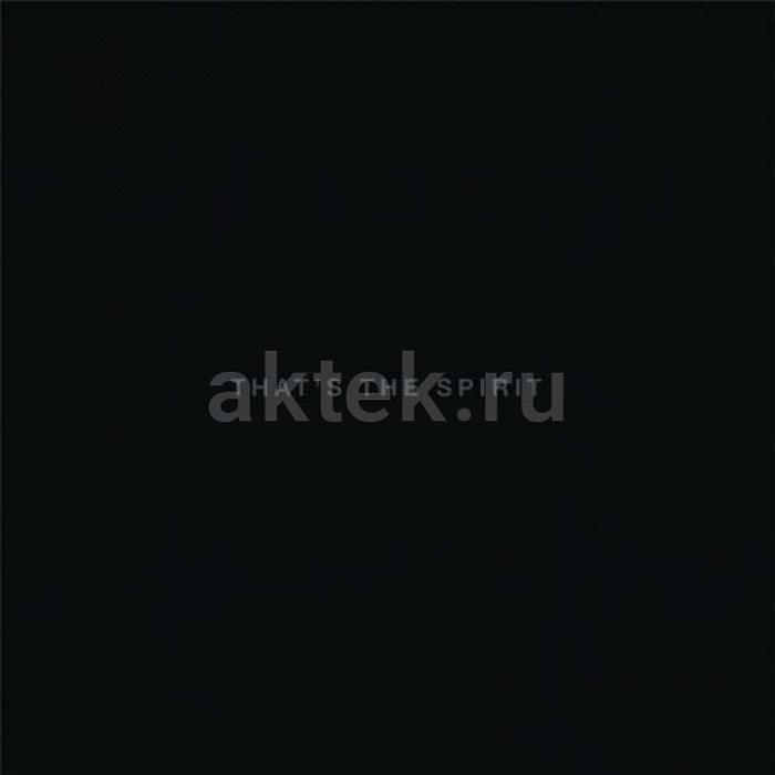Виниловая пластинка BRING ME THE HORIZON - THAT S THE SPIRIT 180 GRAM BLACK VINYL 12" + CD