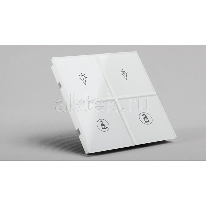 EAE Technology INT-RCS0-0200B0 White кейпад KNX