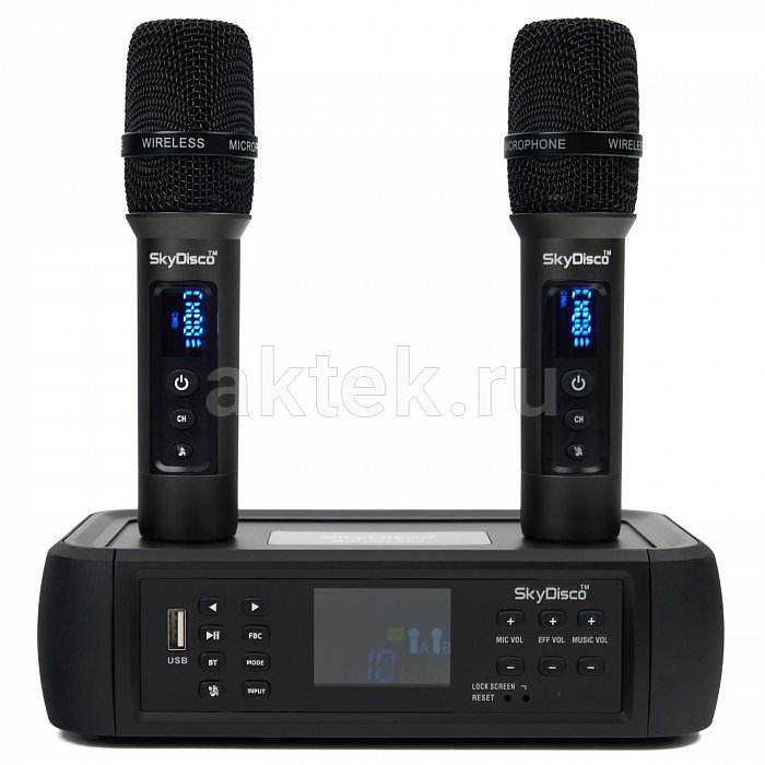 Караоке-система SkyDisco KaraLight Bluetooth с двумя беспроводными микрофонами 8