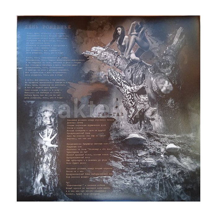 Виниловая пластинка ЧИЖ & СO - ГАЙДНОМ БУДУ! BLACK VINYL 12" 3