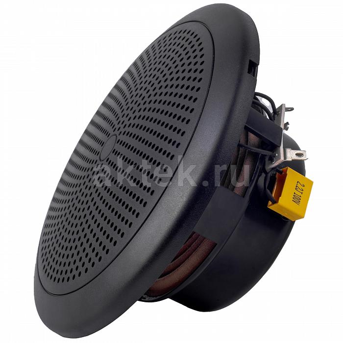 Встраиваемая акустическая система Radiotehnika Sonaq C52 Black 3