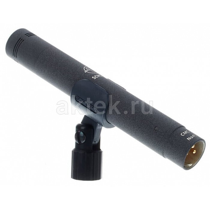 Студийные микрофоны Schoeps Stereo Set CMC 6 and MK 5 9