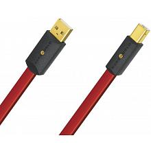 Кабель USB Wireworld Starlight 8 USB 2.0 A-B - 0.6 метра