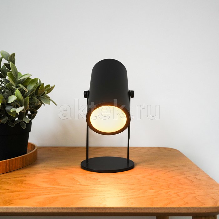 Светодиодная лампа SkyDisco Spotlight USB 13