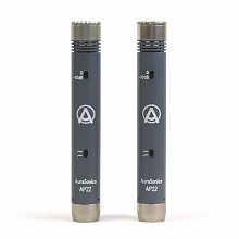 AuraSonics AP22-MP инструментальные студийные микрофоны, золотой