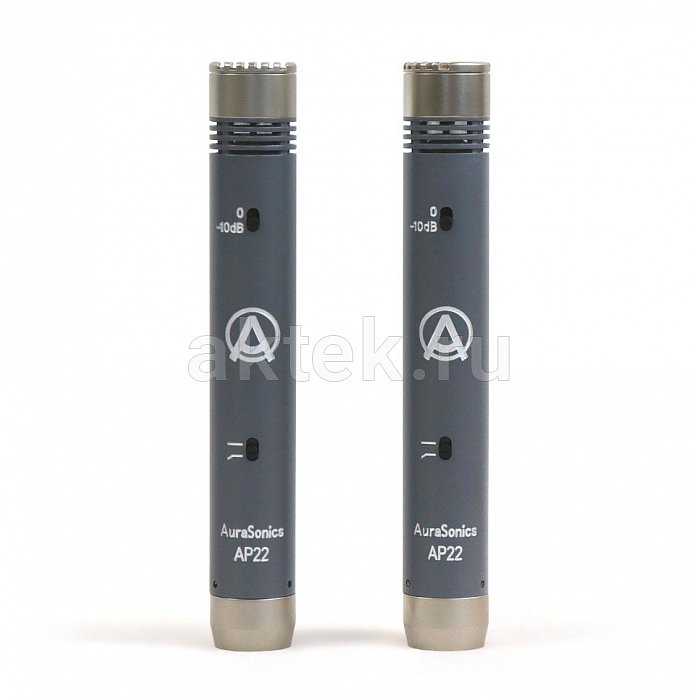 AuraSonics AP22-MP инструментальные студийные микрофоны, золотой