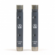 AuraSonics AP22-MP инструментальные студийные микрофоны, золотой