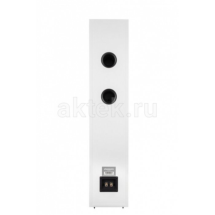 Phaze Audio VOLT+Tilia 1 Black/White напольный стереокомплект 2×80Вт 3