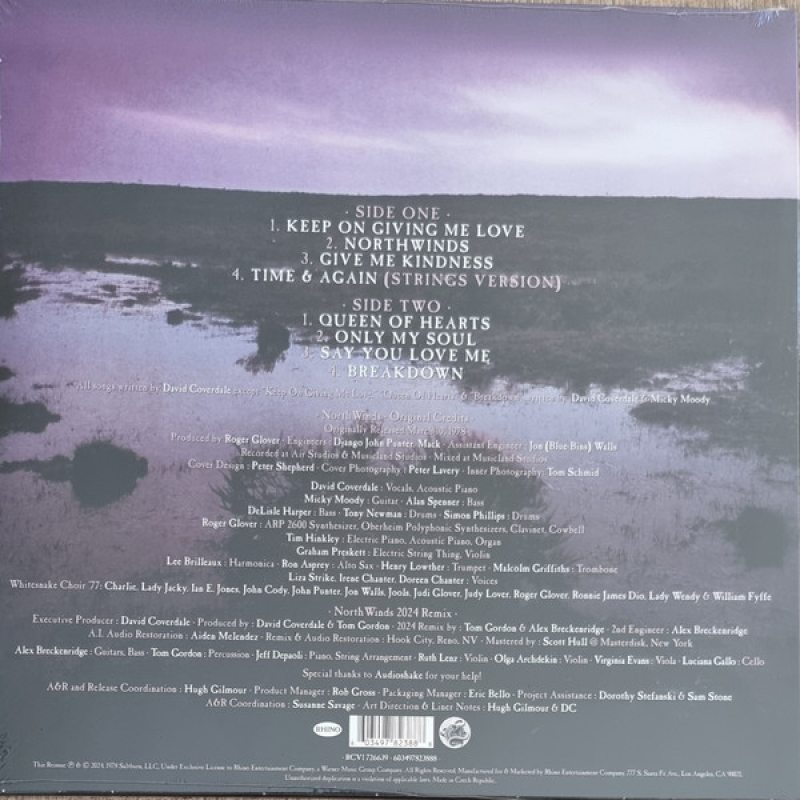 Виниловая пластинка WHITESNAKE - NORTHWINDS BLACK ICE VINYL 12" 2