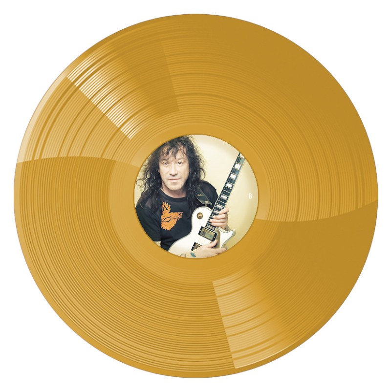 Виниловая пластинка ВЛАДИМИР КУЗЬМИН - НЕБЕСНОЕ ПРИТЯЖЕНИЕ GOLD VINYL 12" 4
