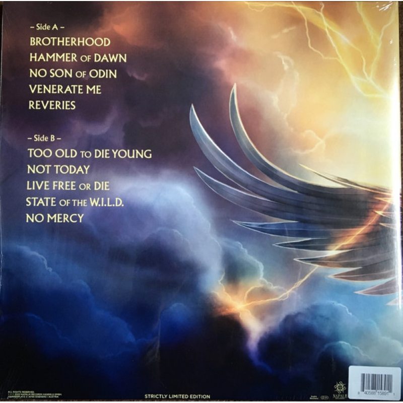 Виниловая пластинка HAMMERFALL - HAMMER OF DAWN BLACK VINYL 12" 2
