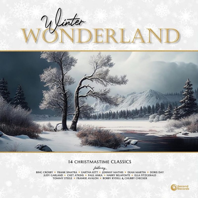 Виниловая пластинка V/A - WINTER WONDERLAND - 14 CHRISTMASTIME CLASSICS BLACK VINYL 12" 2