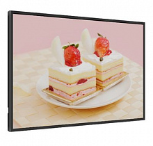 Exell EXPD-DA43AH5 профессиональная ЖК-панель 43″ 4K 500кд/м² Android14