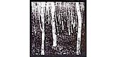 Klimt Records