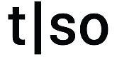 Torso Electronics